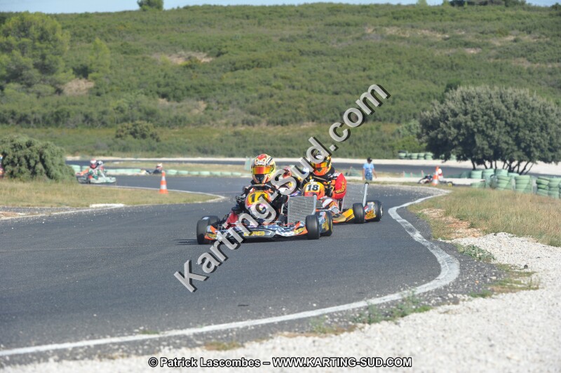 DSC (3924).JPG